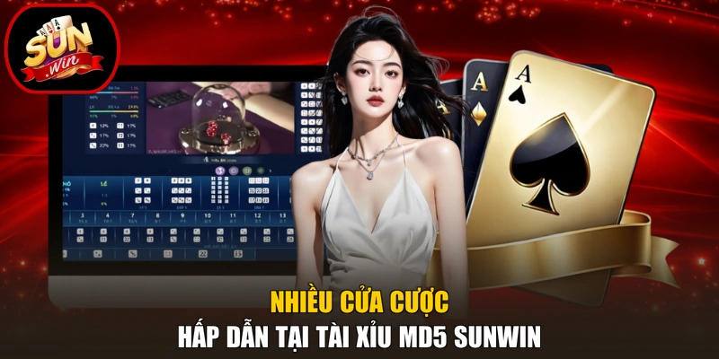 Tài Xỉu MD5 Sunwin - 5 Bước Kiểm Tra, Đối Chiếu Minh Bạch 3 Nhiều cửa cược hấp dẫn tại tài xỉu MD5 Sunwin